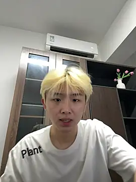 Cnmp6666 webcam
