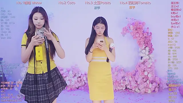 SSF-888 webcam