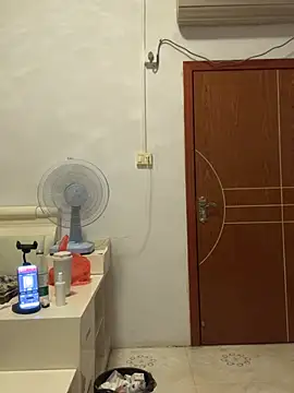 hannzn webcam