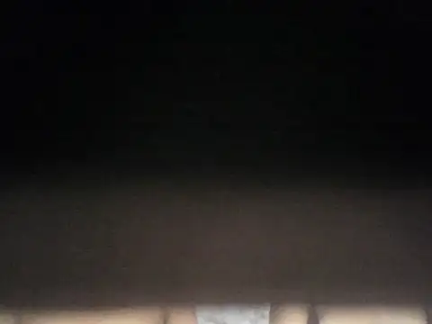 Rittiee webcam