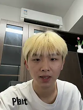 Cnmp6666 webcam