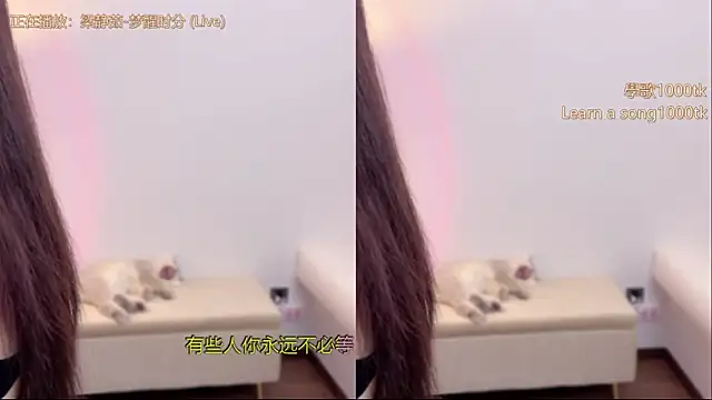 babykitty- webcam