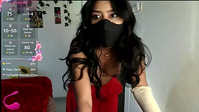 Prisu_BMW webcam