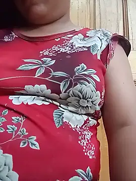 Ip34 webcam