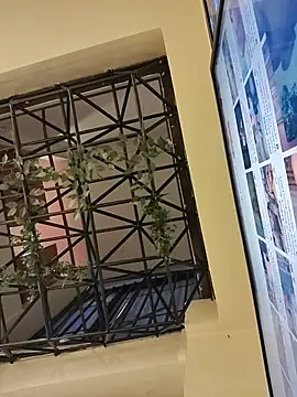 Juann-cock webcam