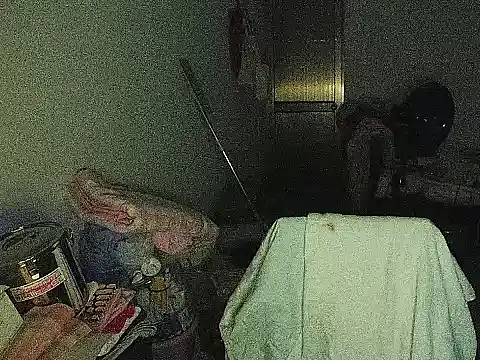 RebelAura webcam