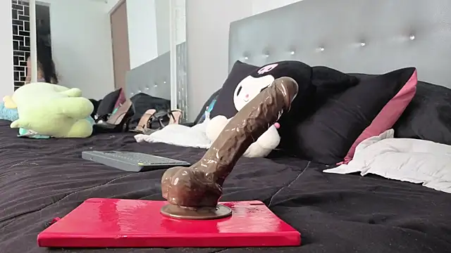Salomelevis webcam