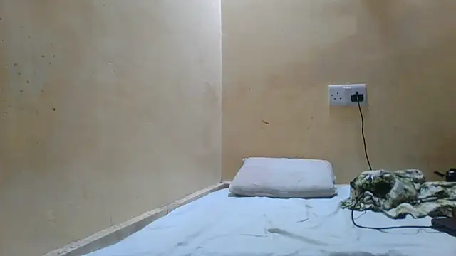 Cozybear webcam