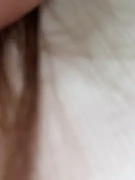AnitaFly webcam