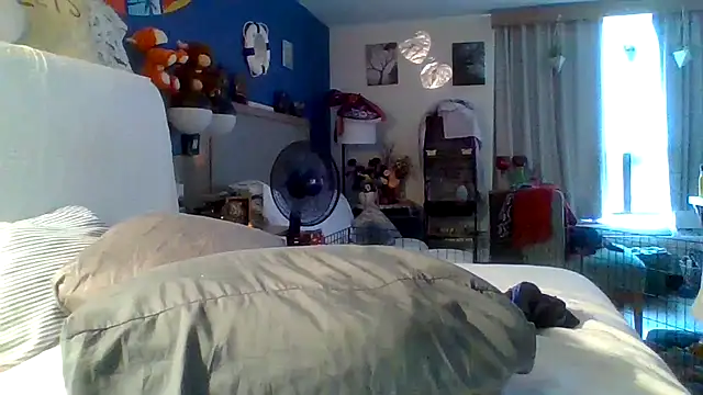 Dicksee_Left webcam