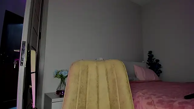 missinfull webcam