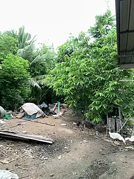 Ponthip webcam