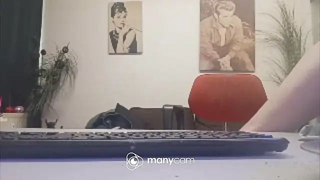 der_dino30 webcam
