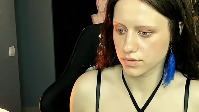 LidaDarknet webcam