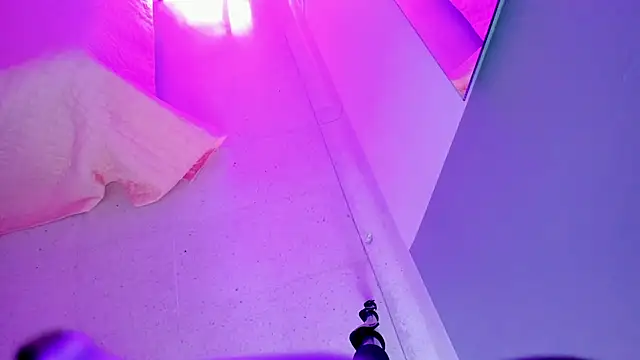 Lana_fox01 webcam