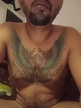 galao952 webcam