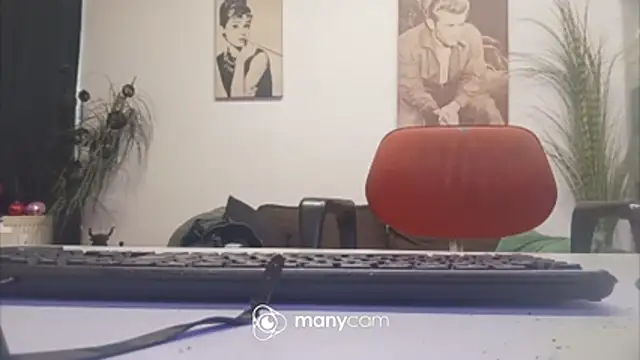 der_dino30 webcam