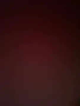 southernflair webcam