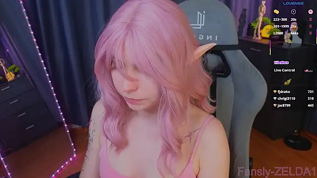 zelda_1 webcam