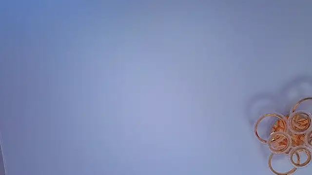 PerryKitty webcam