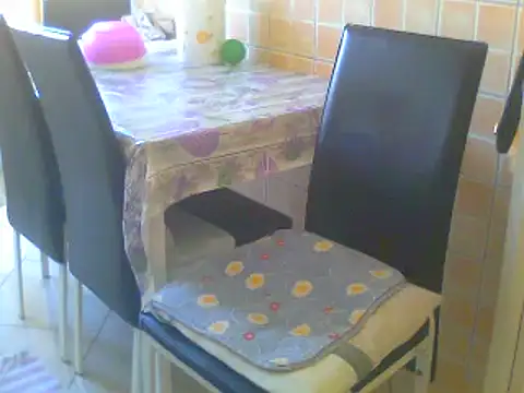 Alaska-perla webcam
