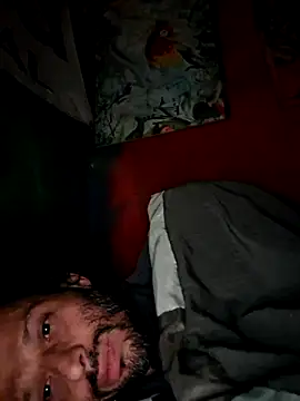 Toycockhot webcam