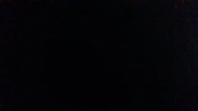 SillyRabbitz webcam
