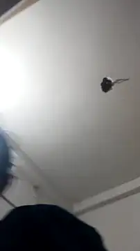 Guriya_0076 webcam