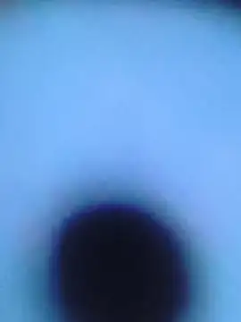 Fuckboyguyman webcam