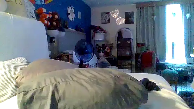 Dicksee_Left webcam