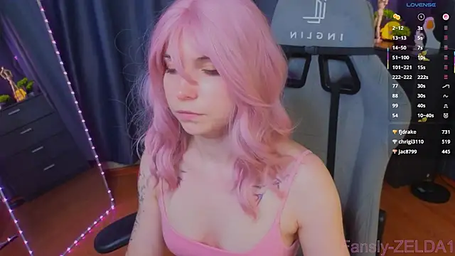 zelda_1 webcam