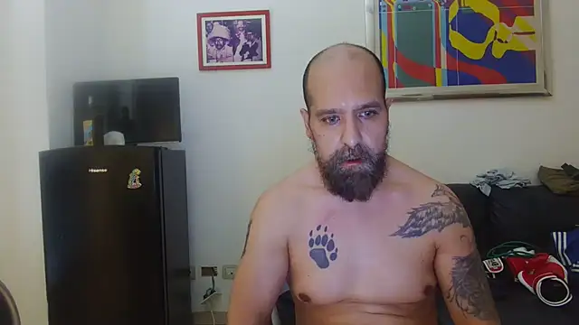 AMIRDIB2025 webcam