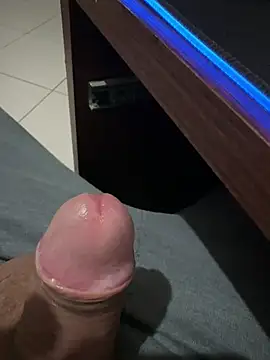 patrast webcam
