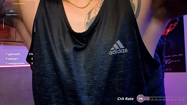 Joylopez_fit webcam