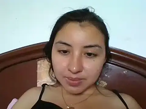 _Romilly_ webcam