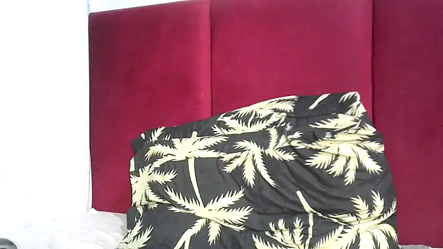 Mel90x webcam