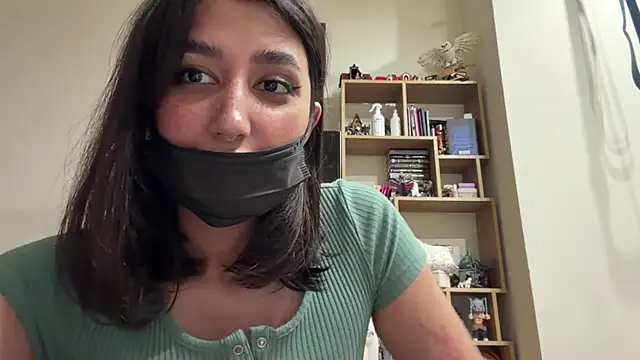 PaintedDisplay webcam