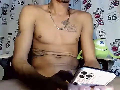 Brendt_Hotx webcam