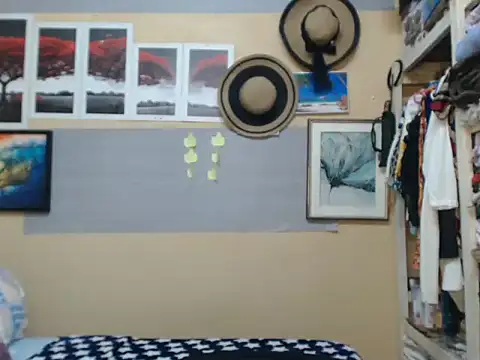 Hella254 webcam