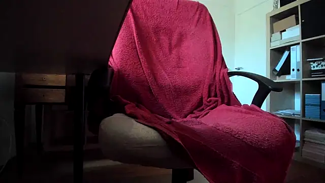 leccaleccafiga webcam