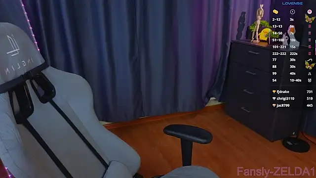 zelda_1 webcam