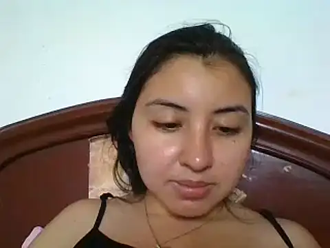 _Romilly_ webcam