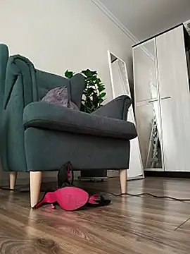 KarollinaBella webcam