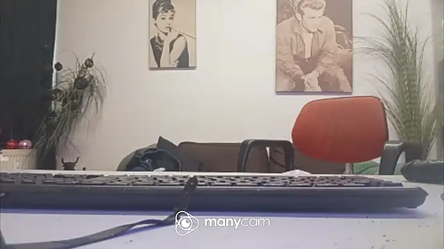 der_dino30 webcam