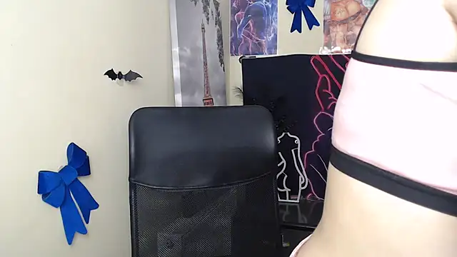 StellaCRL webcam