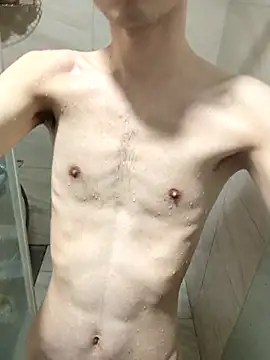 shin-ss webcam