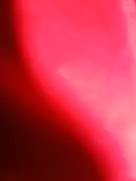 batuhan__38 webcam