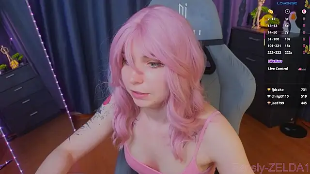 zelda_1 webcam
