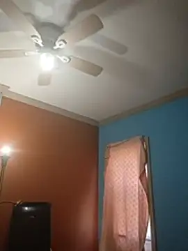 ReallyReallyReal webcam