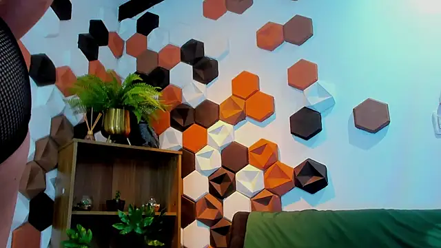 RomanCroft webcam